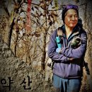 유후재 | 영천 채약산(採藥山)