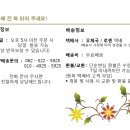 빛살림정골요법 이미지