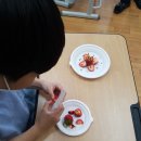 석양초등학교 Daum카페