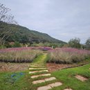 보은산V랜드 이미지