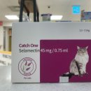 터미널스타약국 이미지