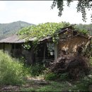 관촌대원주유소 이미지