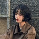 보떼대전