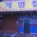 미나릿길56 네이버블로그
