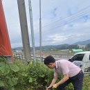 안성 꿈사랑의원 LED전광판만들기 기초석 활용 설치