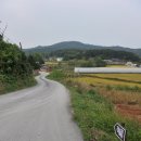 개정면사무소 | [군산 구불길 3길: 큰들길] 대야의 황금들판 길을 걷다.