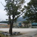 운길산유기농마을 이미지