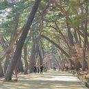 원동교통(주) 이미지