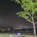 씨사이드파크 카페테리아화장실 | 서울 근교 무료 차박, 영종도 씨사이드파크 차박 데이트 후기 (주차 무료, 화장실 O)