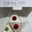 제주 시청 근처 행운이 가득한 디저트 맛집 카페추천! &#34;뜻밖의기쁨&#34;