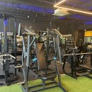 피트니아 이미지