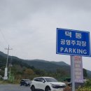 뽕반점 이미지
