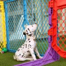 마이퍼피 경남거제점 이미지