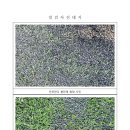 스포츠타운 인조잔디구장 이미지