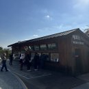 소나무유치원 | 아이랑 화담숲 단풍 시즌 예약 즐겁게 관람한 후기