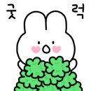 플로밋 이미지