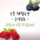 경기남부농장 | 평택 아이와 가볼만한곳 <소풍 체험농장> 산딸기 오디 따기 15개월 아기랑 방문 후기