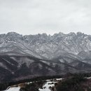 콩서리한우 이미지