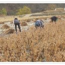 팔봉농원 이미지