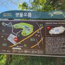 제주지방경찰청 | 제주 애월 궷물오름-작은 노꼬메오름 등산 후기! 3개 오름 연계 숲속 등반하기 좋은 코스! [이춘근 제주...