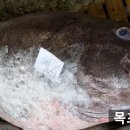 장대 이미지