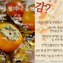 탁식 이미지
