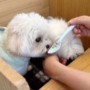 디그르르 이미지