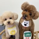 오몽오몽 이미지