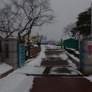 내기초 신영분교 Daum카페
