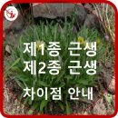 제1종근생시설(휴게음식점) 진출입로 및 관로연결 | 제1종 제2종근린생활시설 차이점 안내