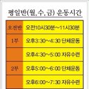 천기자세교정 네이버블로그