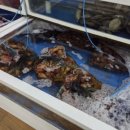 남경횟집 이미지