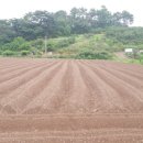 김상수 농장 이미지