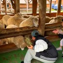 노을목장 이미지