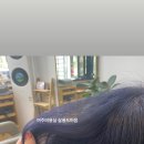 살롱드머뭄 이미지
