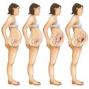 하나로 해결 올인원 샴푸바 | 임신준비 올인원 영양제 하나로 해결한 후기