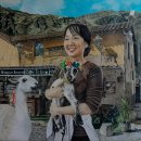 색연필화 이미지