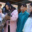 간성초등학교 이미지