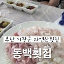 동백자연산횟집 | (부산 기장군) 동백횟집 / 내돈내산 / 자연산 모듬회