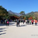 신흥사 이미지