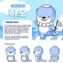 수정-117 이미지