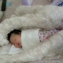 벌리로 49 네이버블로그