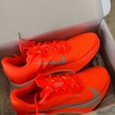 맥스플라이 | 나이키 ACG 트레일러닝화 울트라 플라이 착화리뷰 실제 트레일 산악 테스트 후기