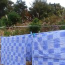 청호제하늘 이미지