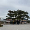 포항 아이와 가볼만한곳 포항서부초등학교 주말 나들이 후기(모래놀이터, 닭체험, 숲체험)