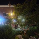쉼펜션(A동) 네이버블로그