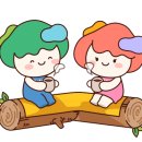 전남산림문화연구소 이미지