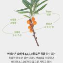 워나F&C 이미지