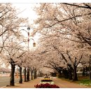 군산월명체육관 이미지