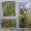 부천로121번길 이미지